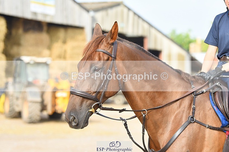 230817-084546-01583 - Kay's 1st Group - Arena