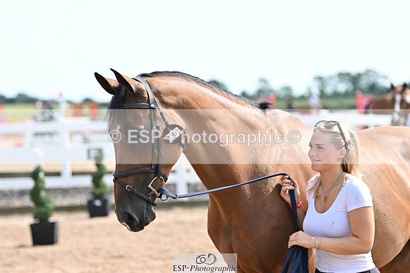 240717A-155513-03191 - Trot Up 3pm to 4pm