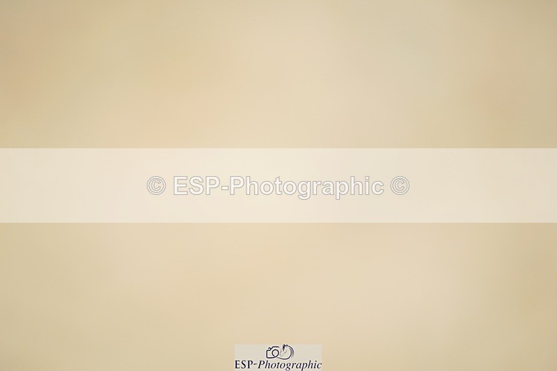 240309-103406-00045 - Cls 01 AE 70cm