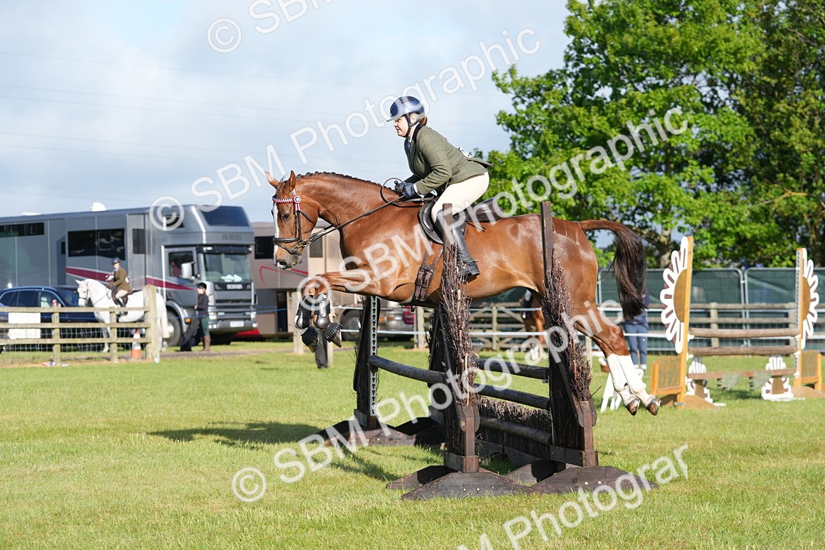 SBM_10511 - Class 97-98 - LIHS BSHA Rising Star Working Show Horse Hunter
