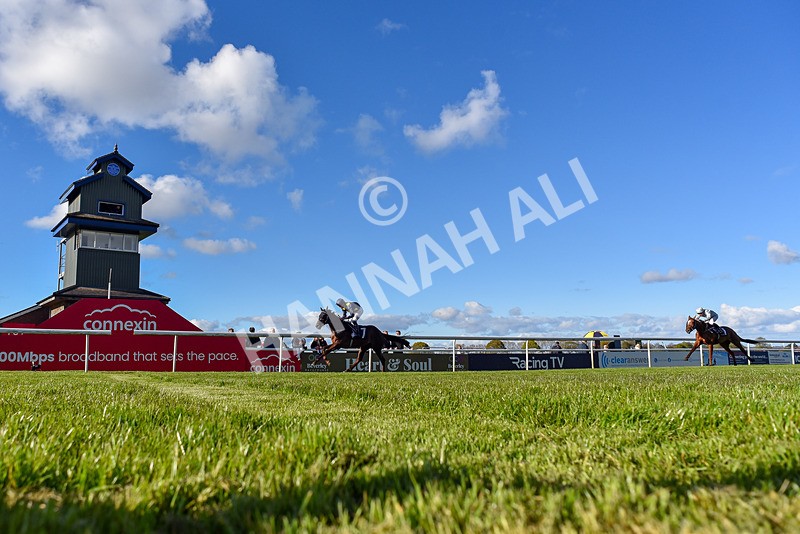 250424-Race 7-Little Rose-4017 - Race 7