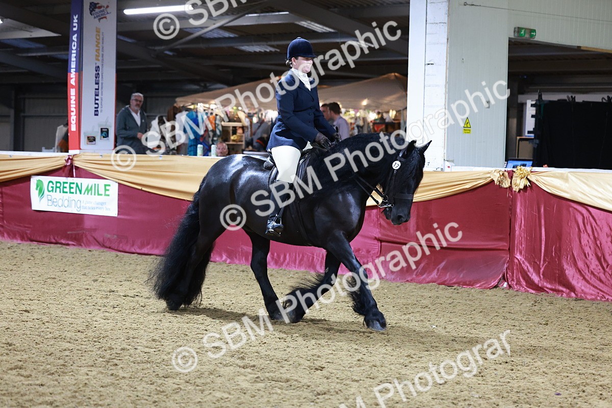 SBM_20905 - Class M - Equitation Champ