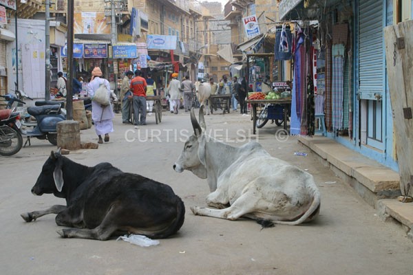  - INDIA
