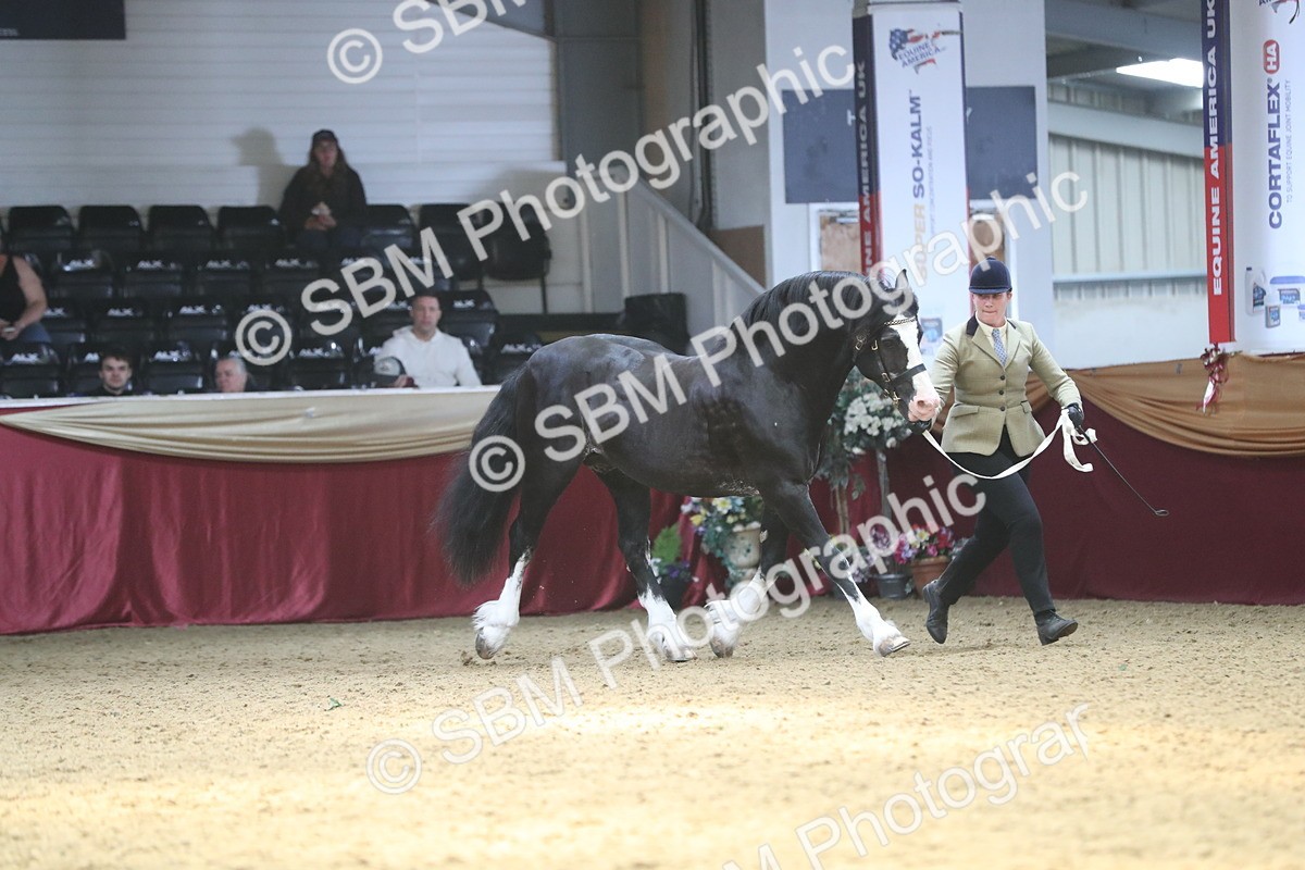 SBM_15251 - Class 501 M&M IH Supreme Final