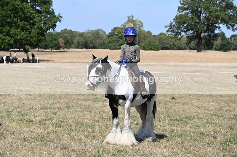 WJ6_9065 - Class 38 Ridden Riding Horse/Pony