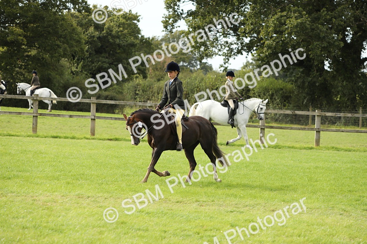 SBM_71500 - S41 - Ridden Equitation (Best Rider)