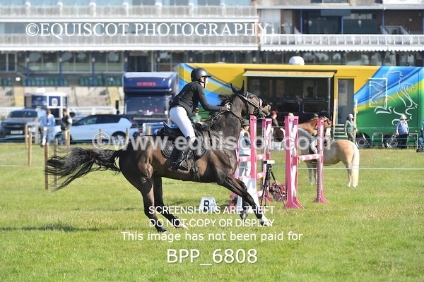 BPP_6808 - CLASS 1 Senior Newcomers/ 1.10m Open