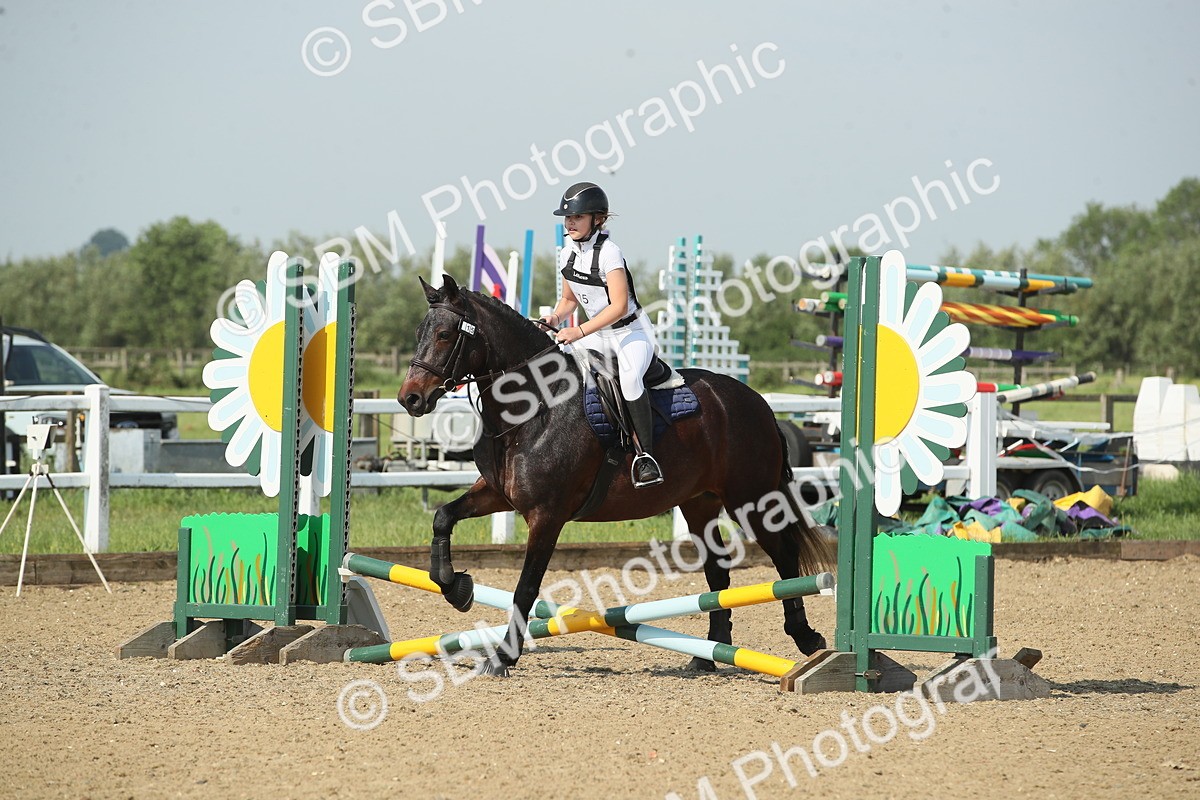 SBM_010740 - 50cm