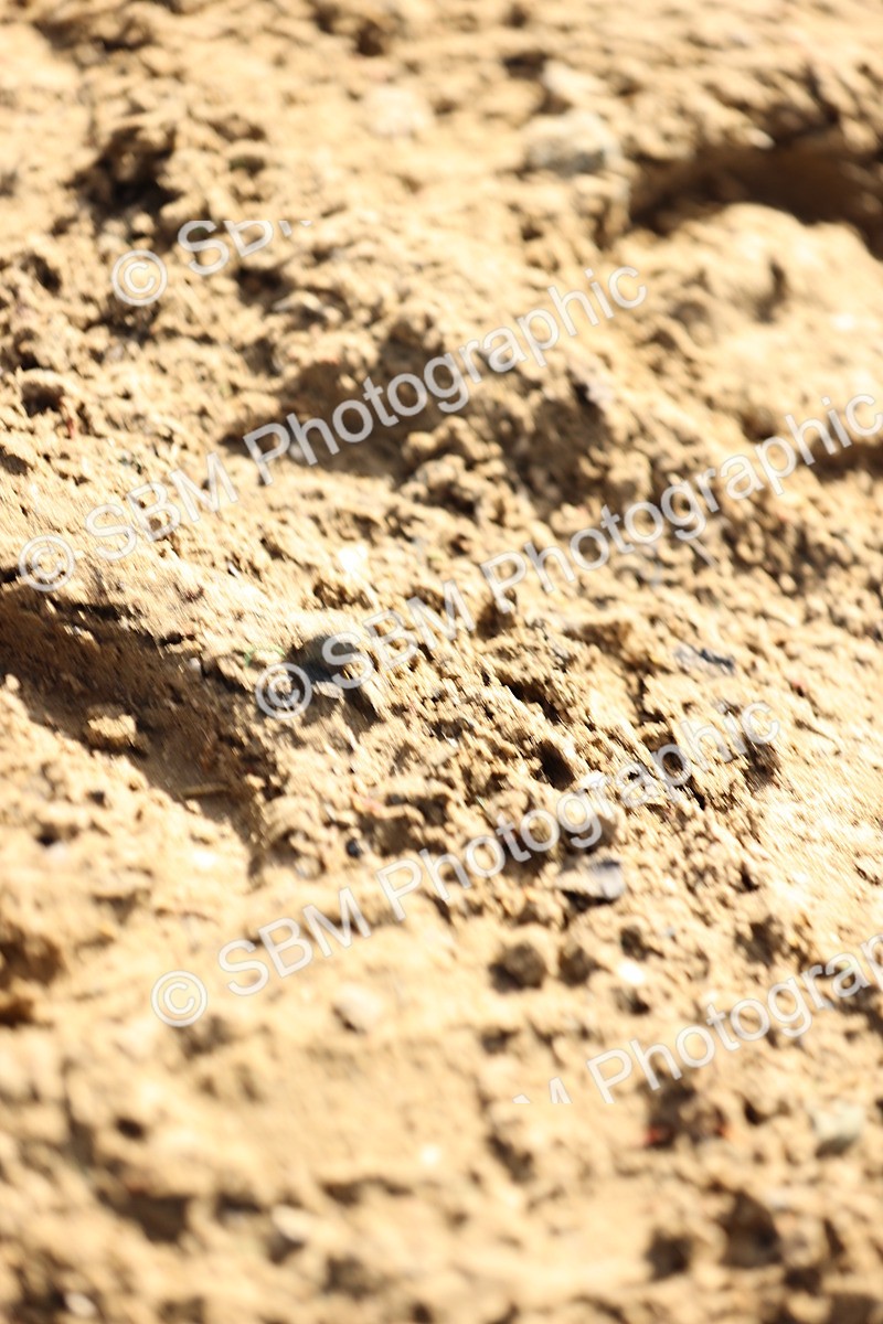 SBM_012072 - Class 10 - Talent Seekers Inc 7 Year Championship Qualifier - 2nd Half