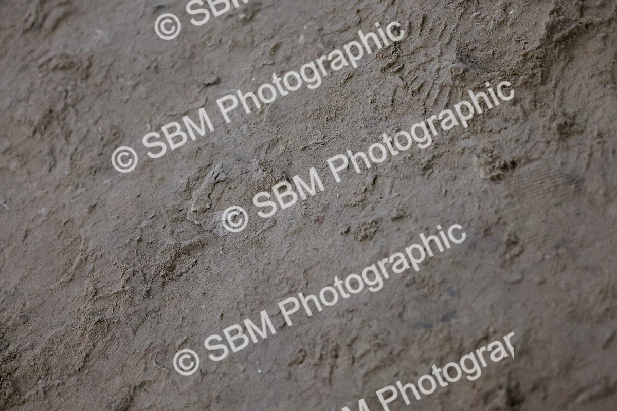 SBM_003924 - Class 12 - National B&C Handicap Champs Qualifier 1.25m 1.30m