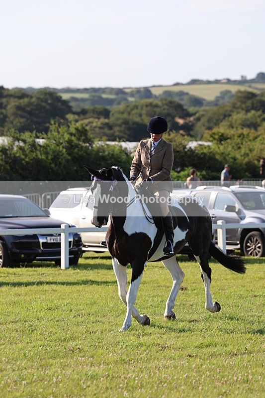 IMG_1229 - Class 27: Ridden Plaited Coloured Horse