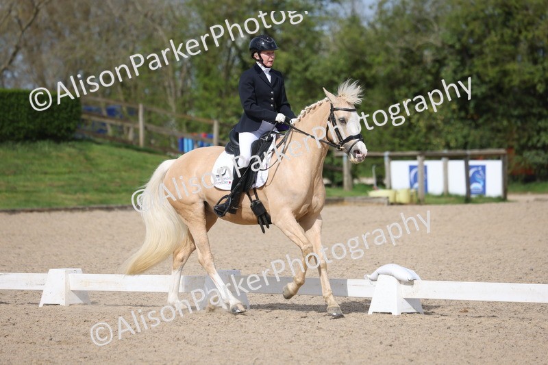 20260405-0205 - Class 3 - Novice 5