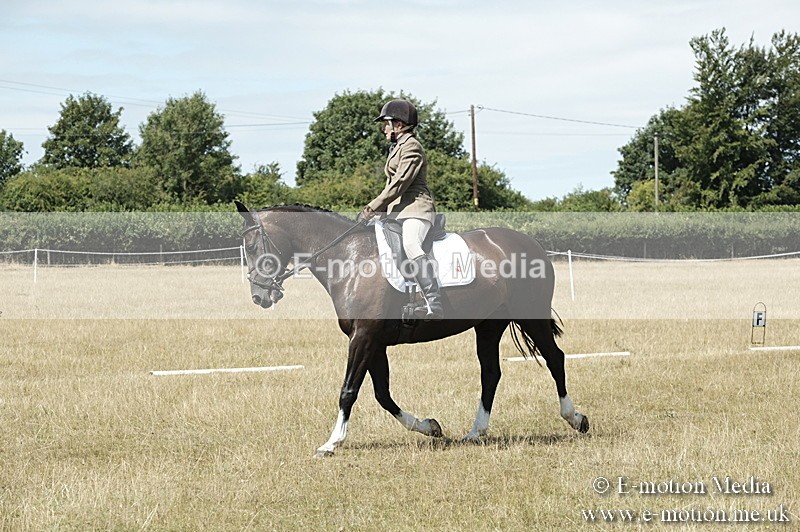 _PJP5859 - Dressage Classes BVRC Show 2018