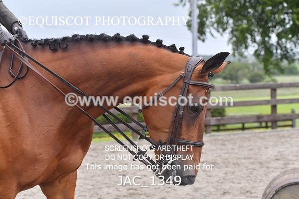 JAC_1349 - CLASS 9 BHS Scotland Riding Club Working Hunter Qualifier (1.00m)