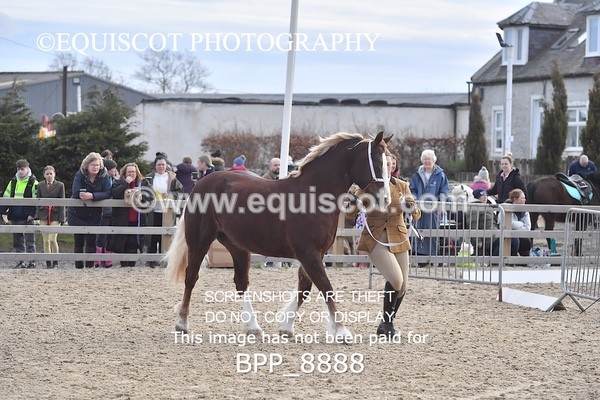 BPP_8888 - RING 2 - M&M