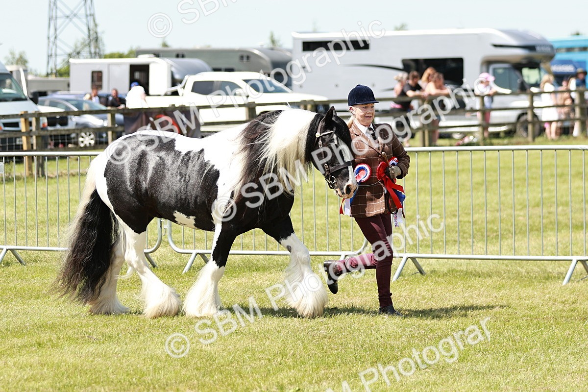 SBM_05552 - Class 41-45 - Riding Pony-Hunter Pony Breeding