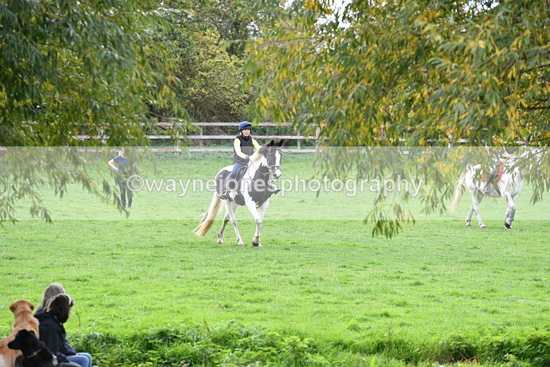 WJ5_0960 - Time 14:29 to 15:31