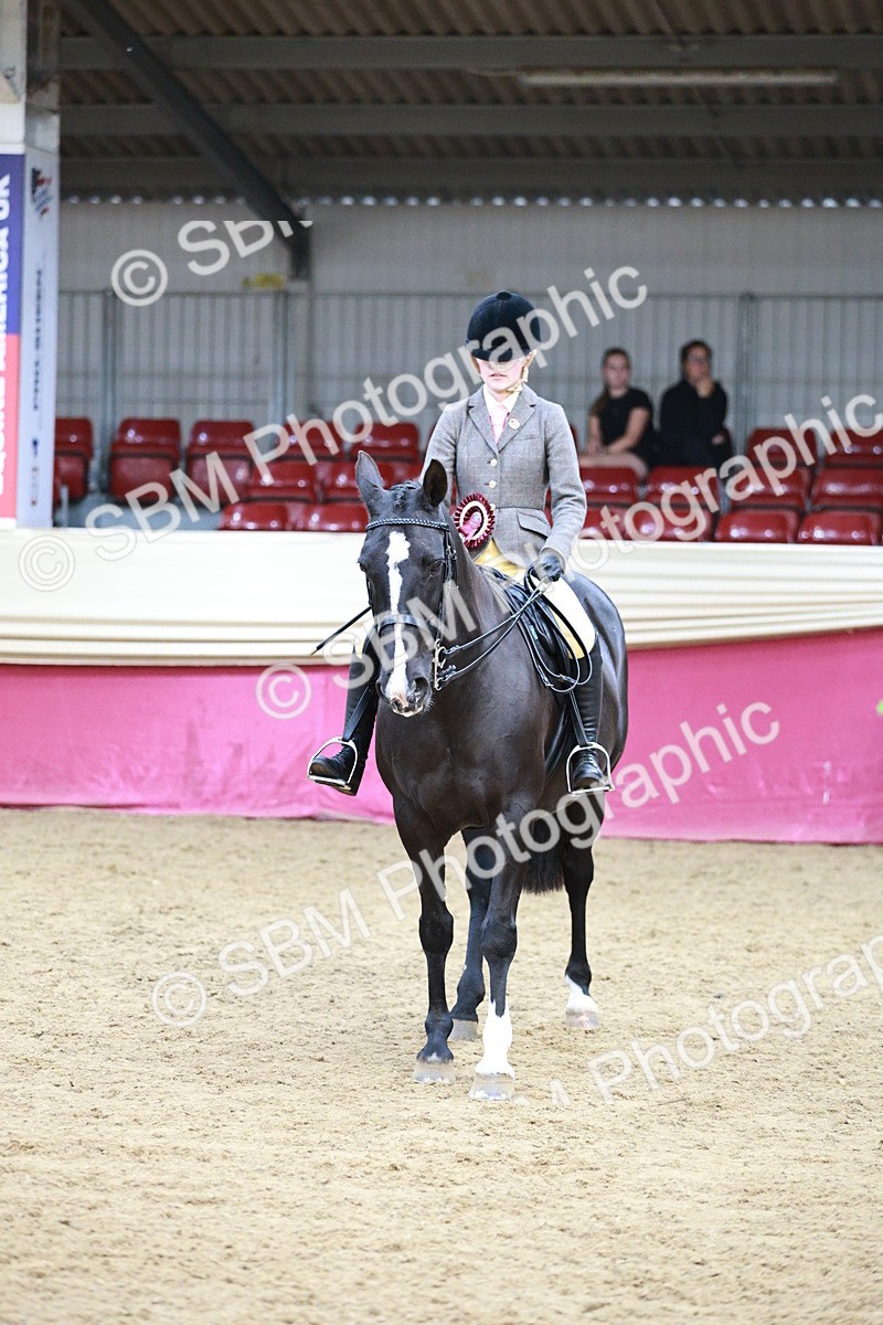 SBM_08678 - Regional Ridden Champ