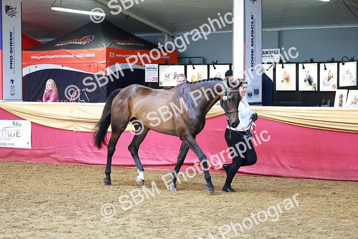 SBM_17217