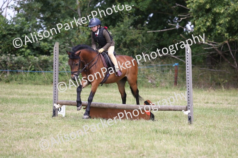 20260614-1822 - Class 21 - Novice Working Hunter Pony