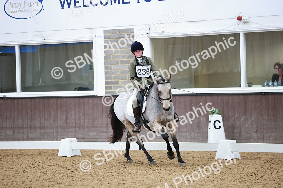 SBM_003789 - Class 2 - Novice 2020