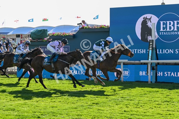 140525-Race 6-Ballistic Missile-2877 - Race 6 4.55pm British Stallion Studs EBF Novice Stakes