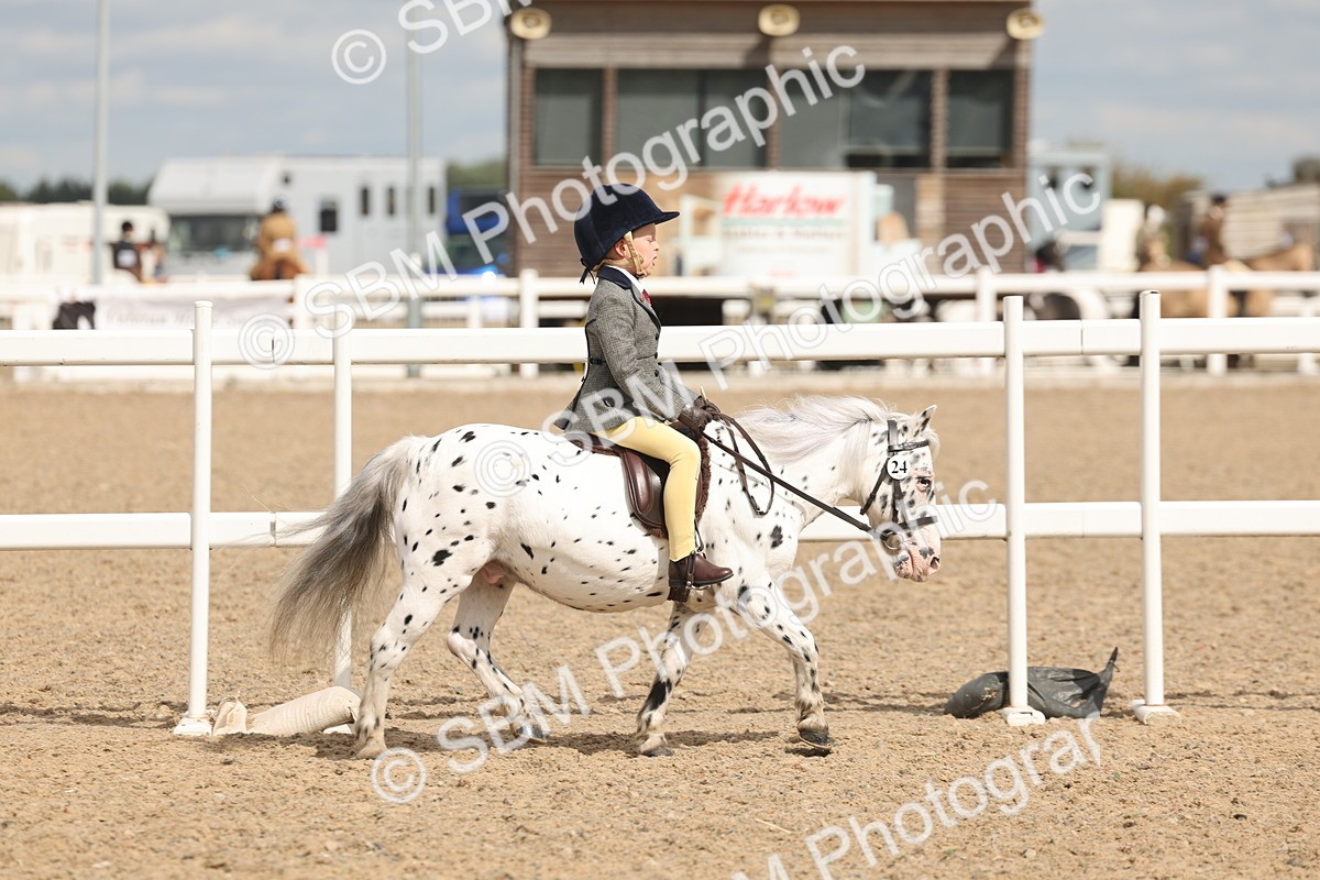 SBM_15865 - Class 310 - First Ridden Pony