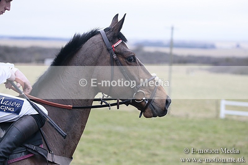 PtP 180218 491 - Combined Services Point-to-Point Larkhill 18/02/18