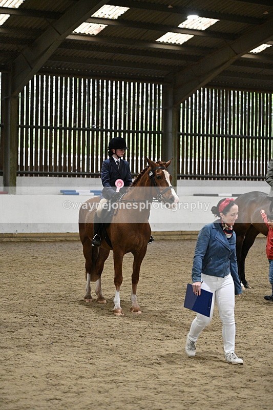 WJ7_4373 - Class 17 Ridden Cob