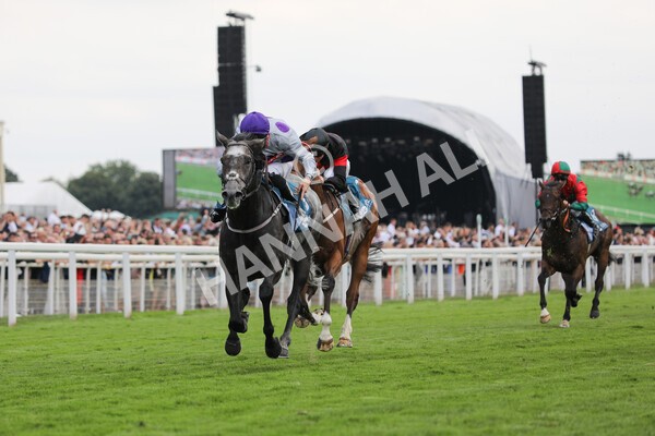 yr23072022r6-24 - Race 6 5.00pm Sky Bet Partnership with Support Dogs Stakes