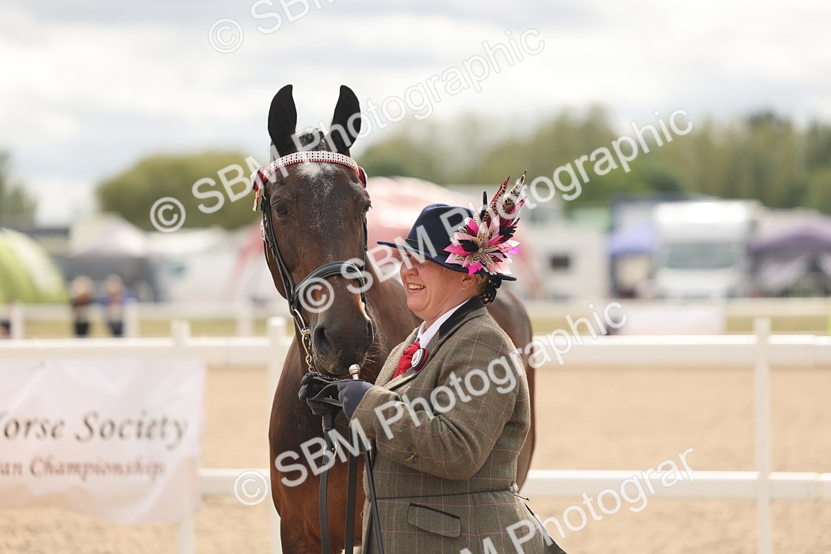 SBM_16988 - Class 312 - IH Competition Horse-Pony