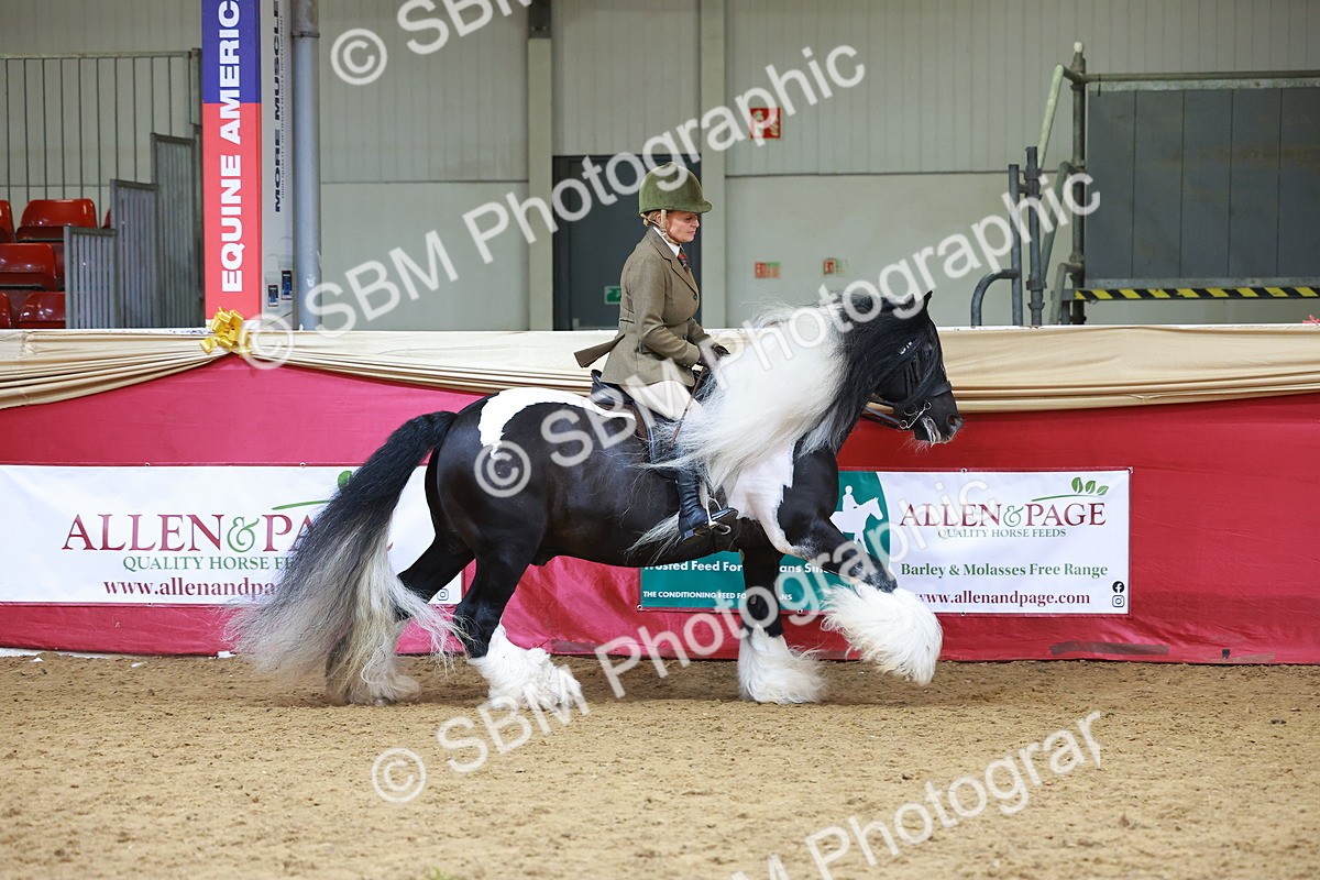 SBM_06188 - Class 12R - Ridden Pre-Vet