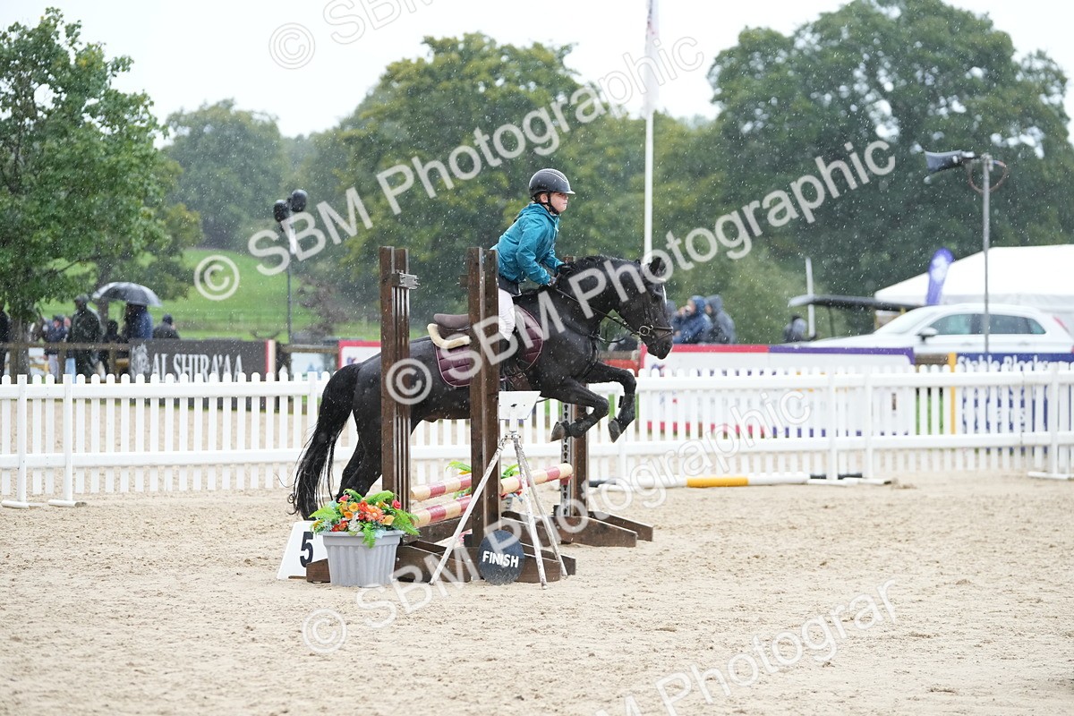 SBM_36286 - J5 - Junior Pony 50cm Championship