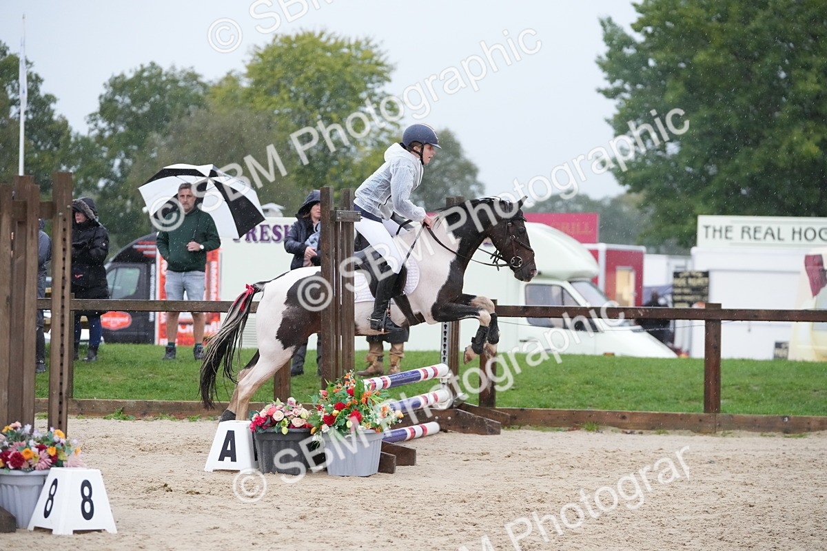 SBM_36031 - J5 - Junior Pony 50cm Championship
