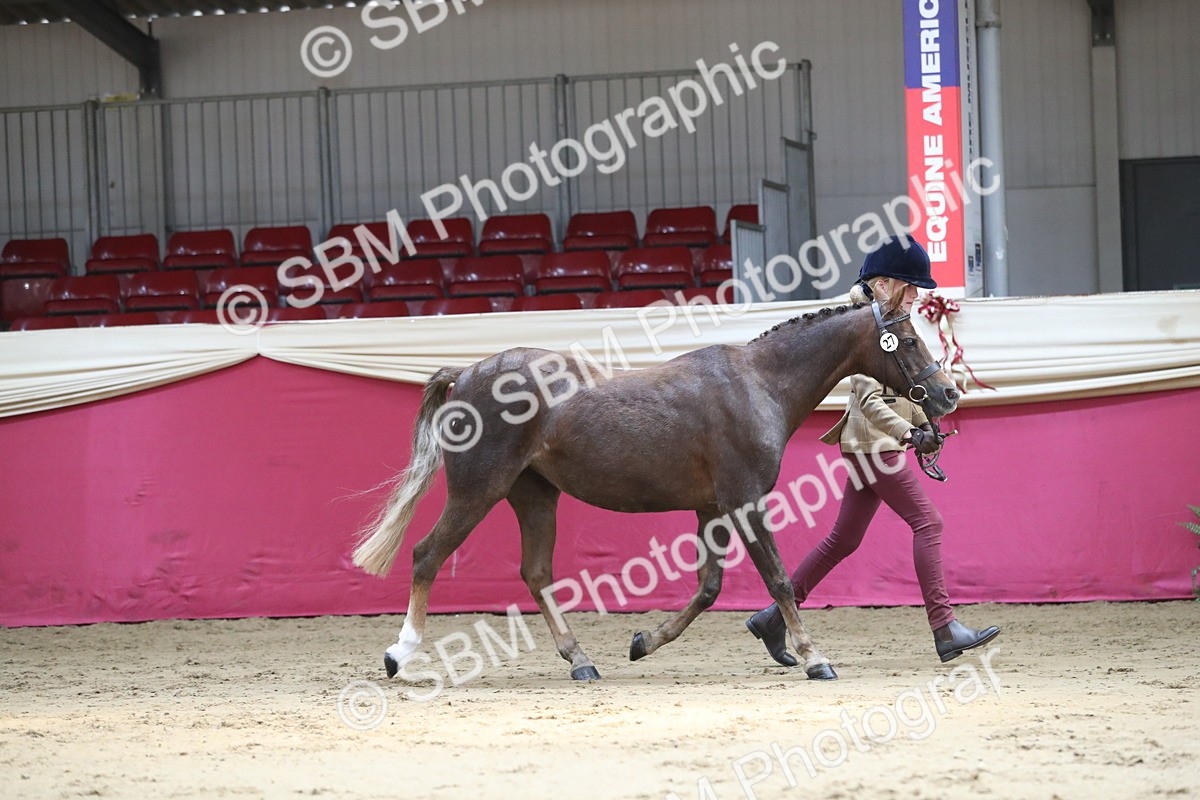 SBM_04306 - Class 7R Regional - IH Diamond