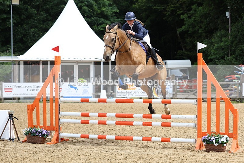 3E7A6298 - Class 4: Senior British Novice/90cm open