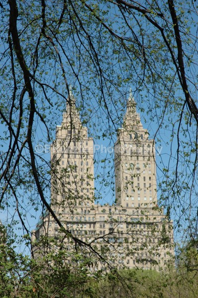  - Central Park