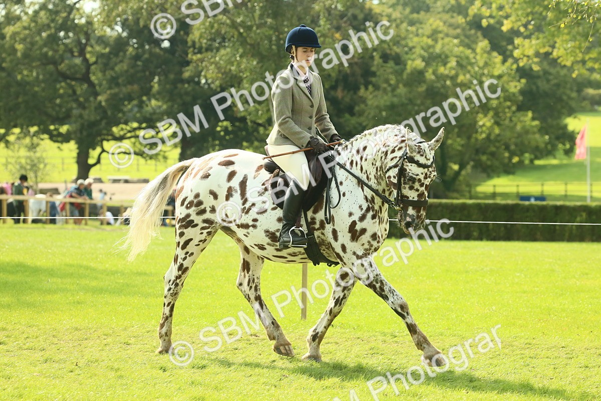 SBM_62471 - S62 - Foreign Breeds Ridden