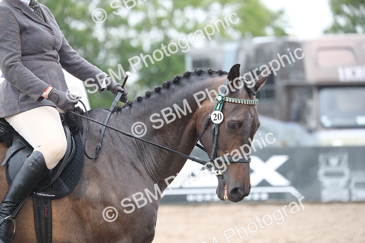 SBM_21538 - Class 602 - 2025 Area - Ridden Veteran