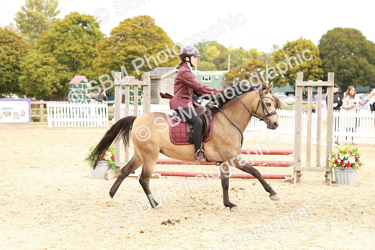SBM_63696 - J12 - Junior Pony 55cm Championship
