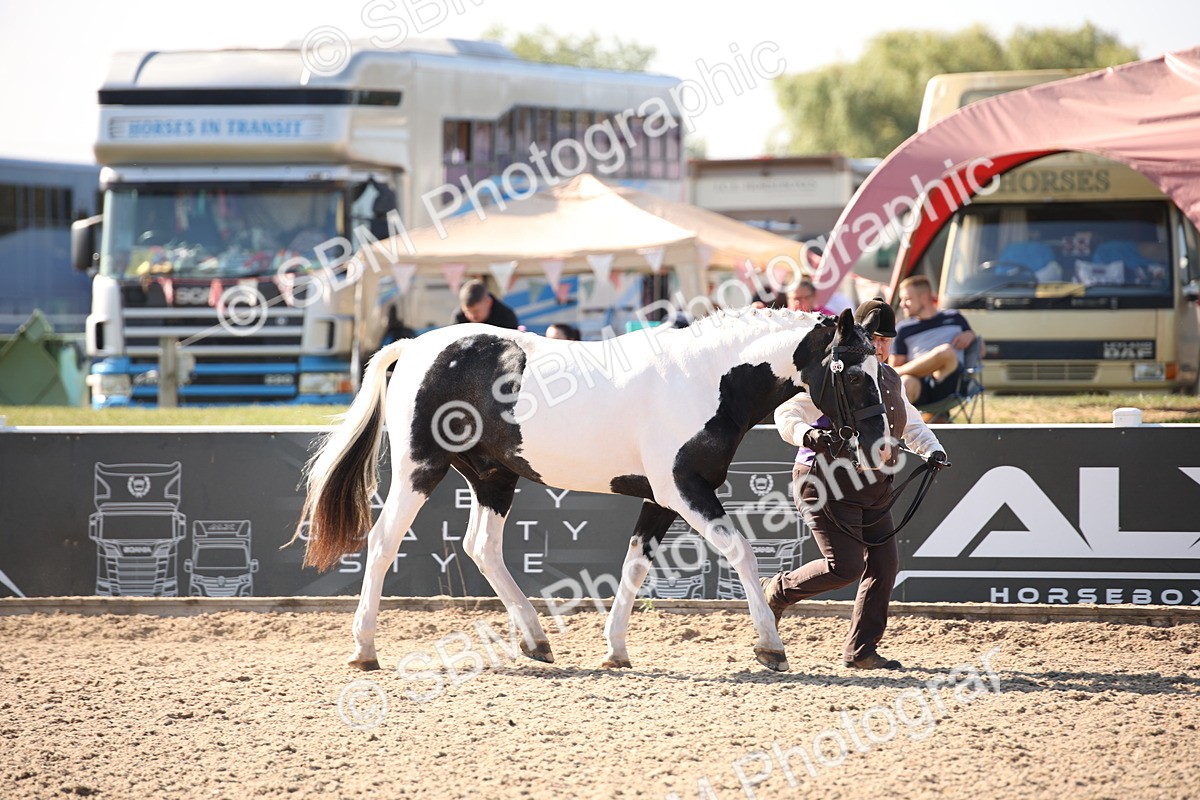 SBM_01452 - Class 15 IH Coloured