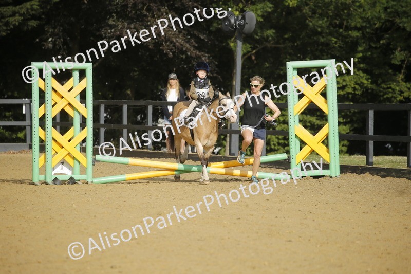 20250622-1127 - 40cm