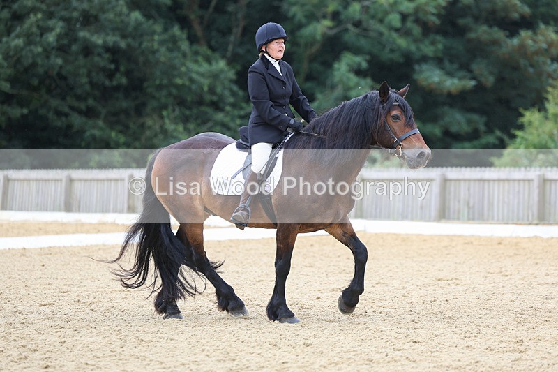 3E7A4721 - Class 1: Intro 4 2024 section A