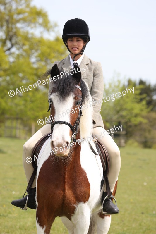 20260426-3010 - Class 33 - Best Pony 14.2hh and Under