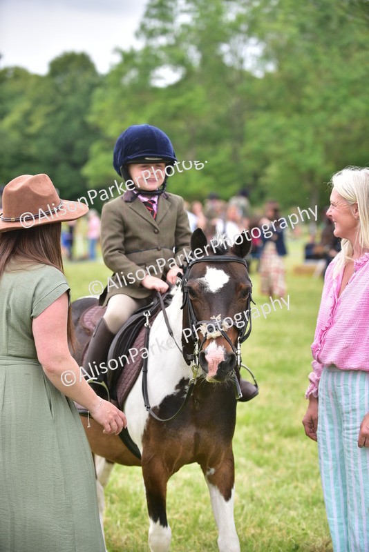20260614-2691 - Class 13 - Pony Club Pony