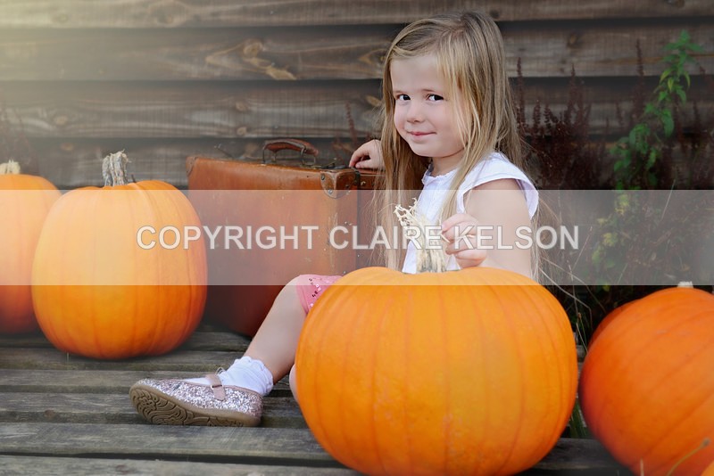 DSC_8683-3 copy - SEASONAL OUTDOOR SHOOTS - PUMPKINS
