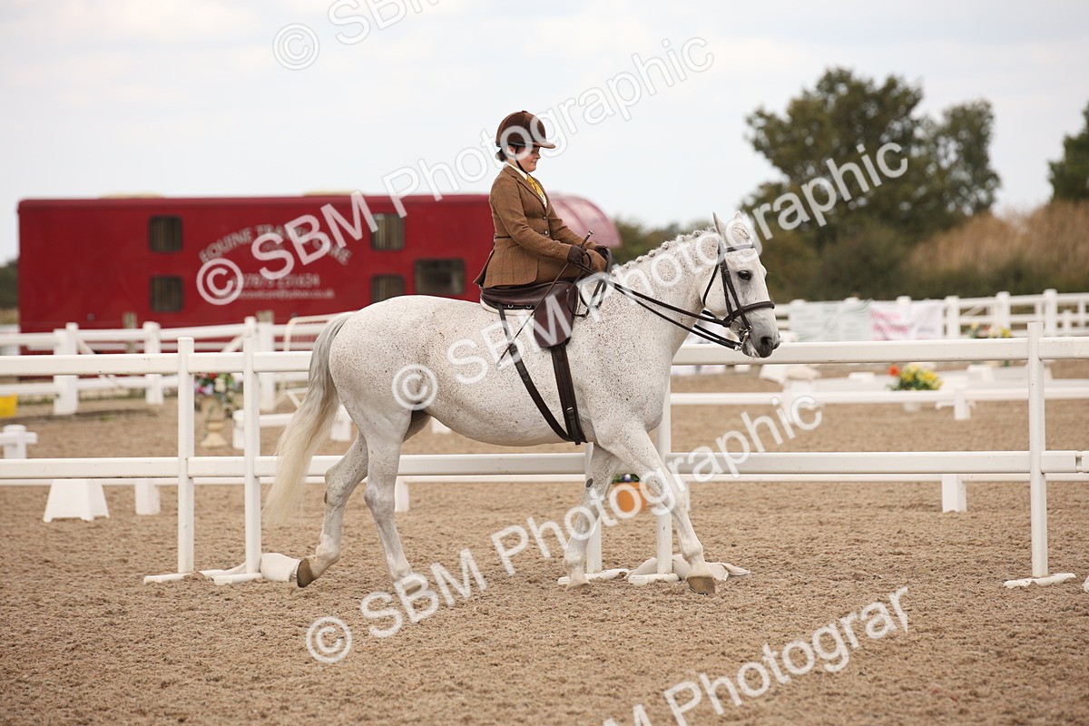 SBM_05300 - Class 22 SSA Equitation