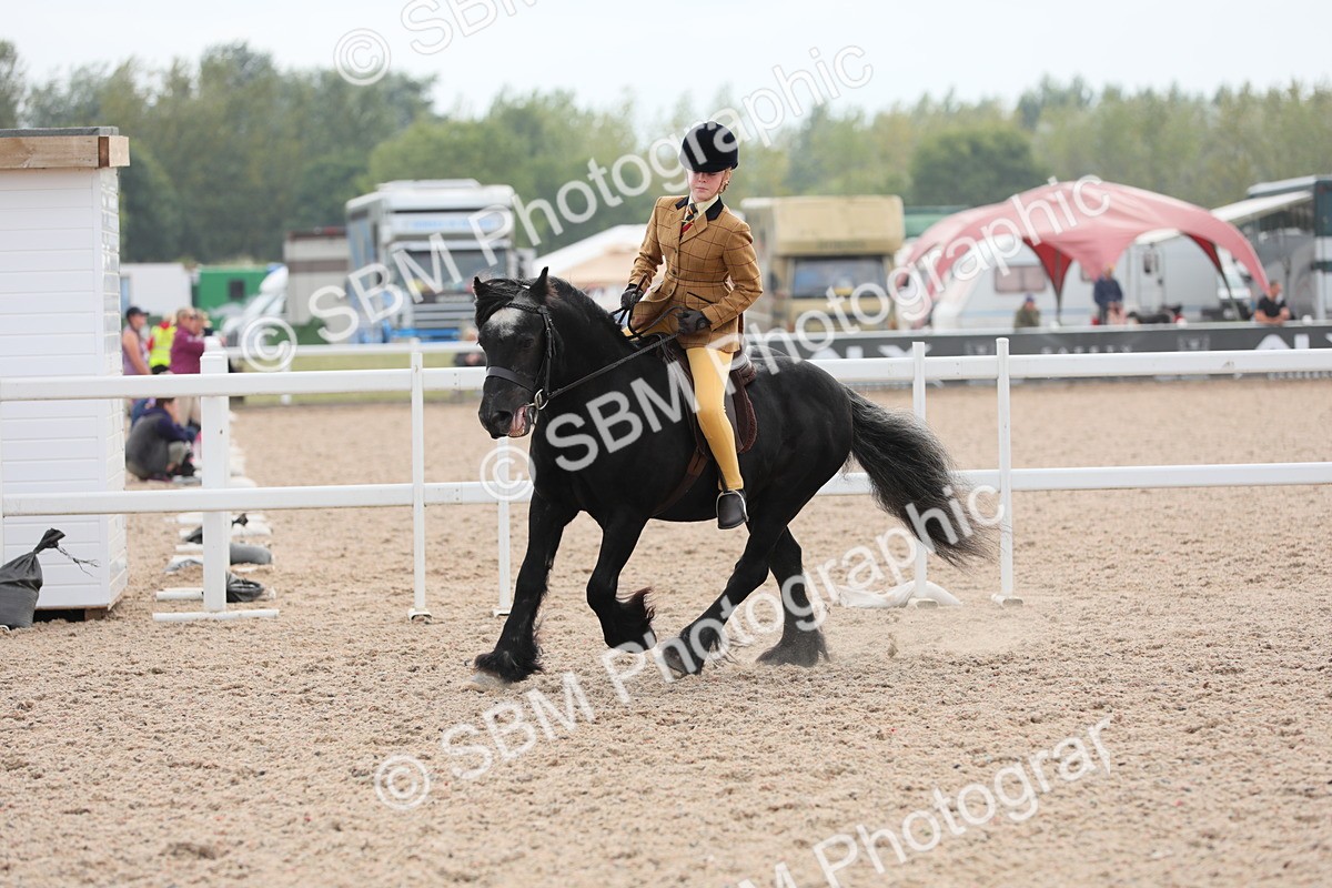 SBM_16940 - Class 314 Family Horse/Pony
