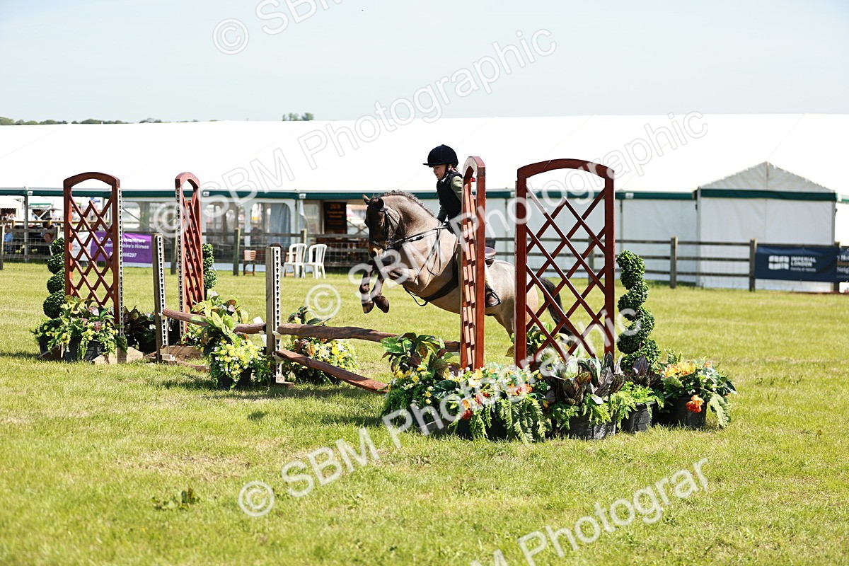 SBM_13492 - Class 108-109 - BSPS LIHS Open Gradle & Nursery Stakes