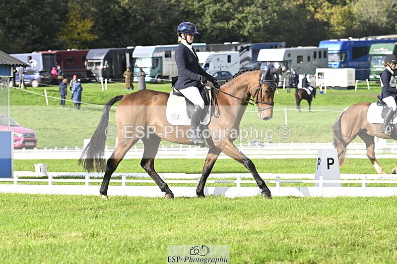 251023A-150742-04510 - E-386-Zara.Head